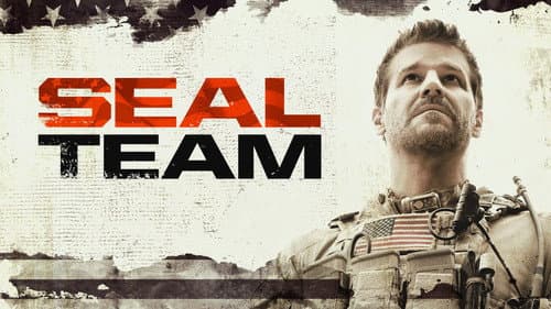 SEAL Team still