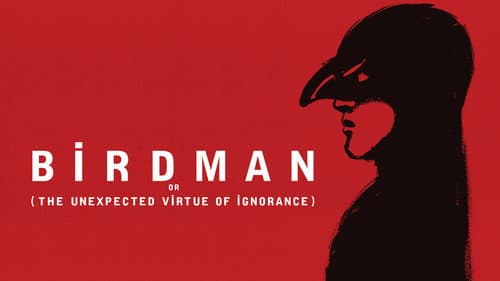 Birdman or (The Unexpected Virtue of Ignorance) still