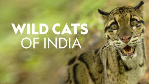 Wild Cats of India still