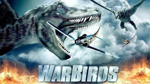 Warbirds still