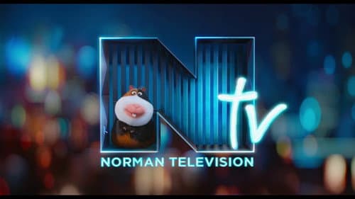 Norman Television still