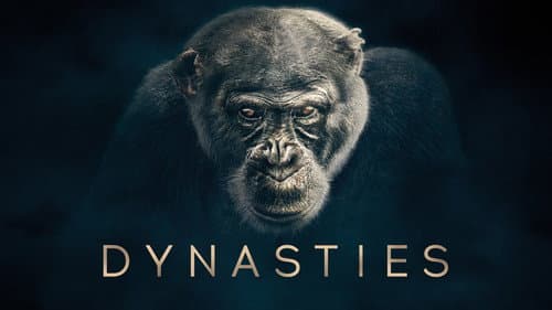 Dynasties still