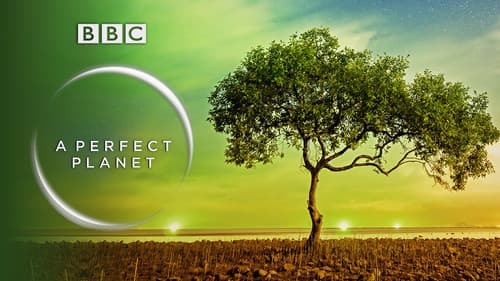 A Perfect Planet still