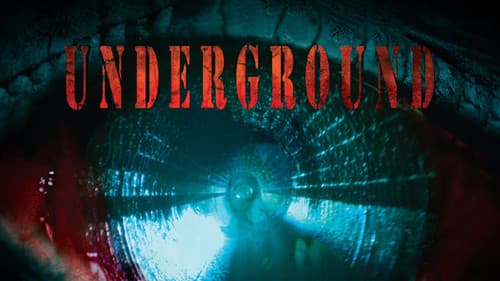 Underground still
