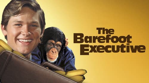 The Barefoot Executive still