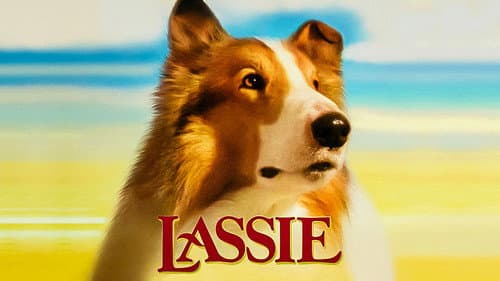 Lassie still