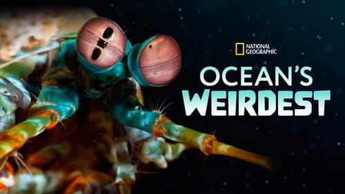 Ocean's Weirdest still