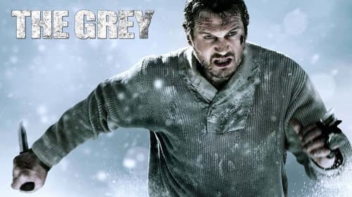 The Grey still