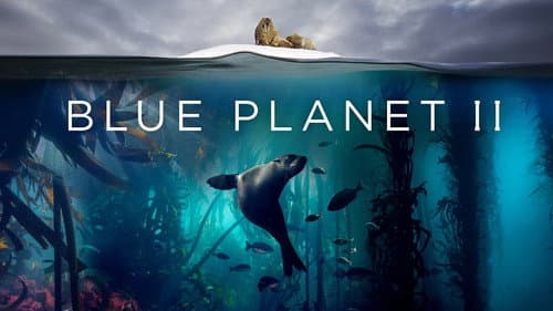 Blue Planet II still