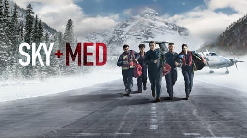 SkyMed still