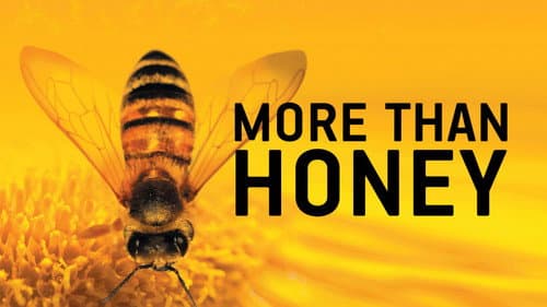 More Than Honey still