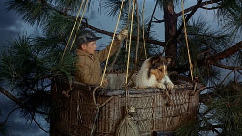Lassie's Great Adventure still