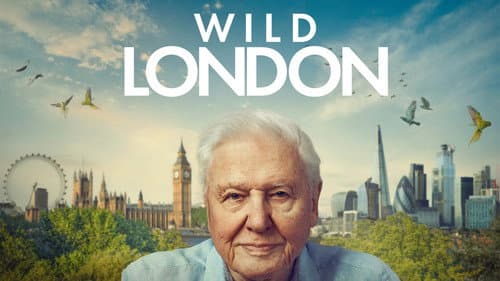 Wild London still