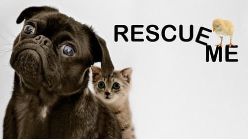 Rescue Me still