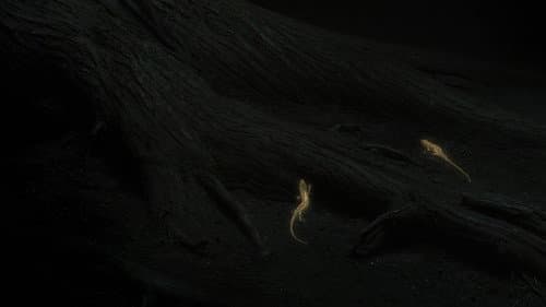 The Buried Forest still