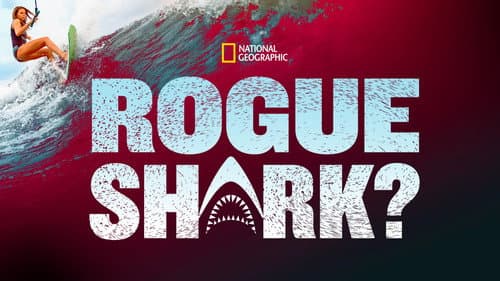 Rogue Shark still