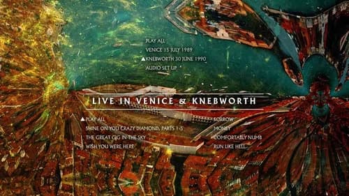 Pink Floyd: The Later Years, Vol 4 - Venice Concert 1989/Knebworth Concert 1990 still