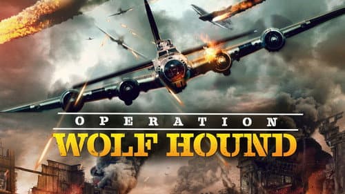 Wolf Hound still