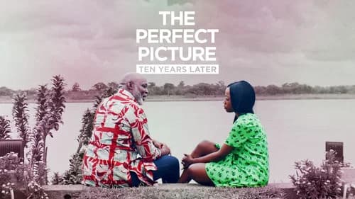 The Perfect Picture: Ten Years Later still