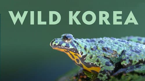 Wild Korea still