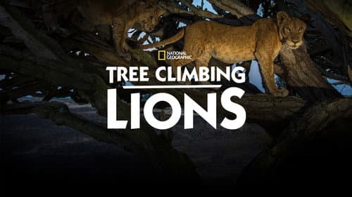 Tree Climbing Lions still