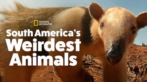 South America's Weirdest Animals still