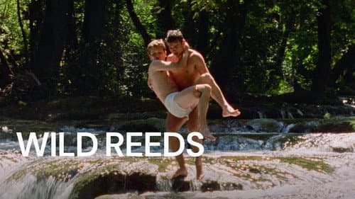 Wild Reeds still