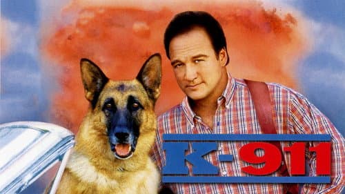 K-911 still