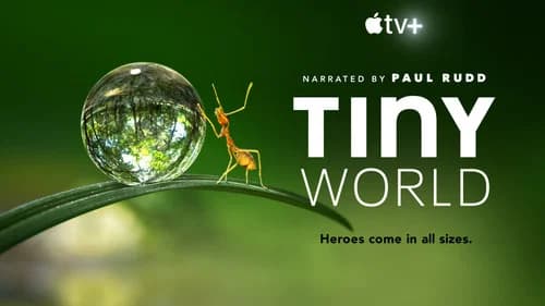 Tiny World still
