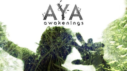 Aya: Awakenings still