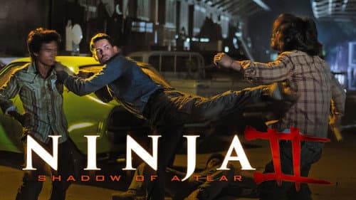Ninja: Shadow of a Tear still