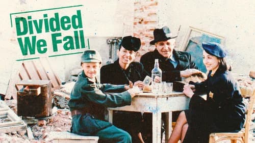 Divided We Fall still