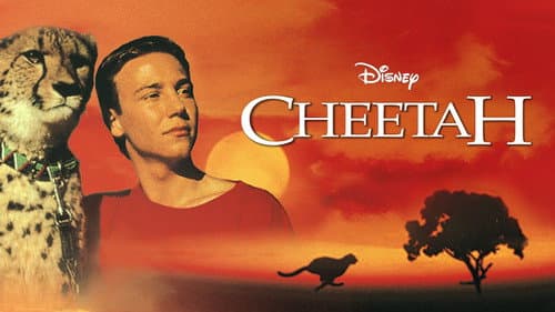 Cheetah still