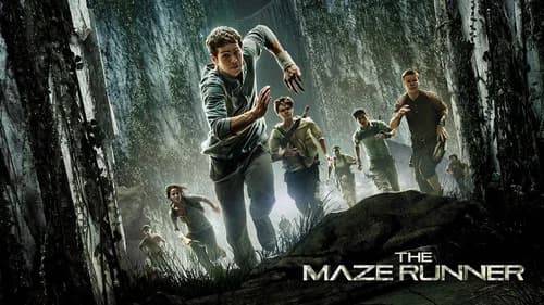 The Maze Runner still