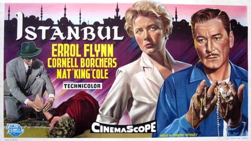 Istanbul still