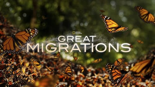 Great Migrations still