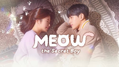 Meow, the Secret Boy still