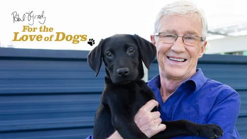 For the Love of Dogs still