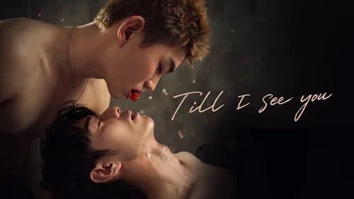 Till I See You still