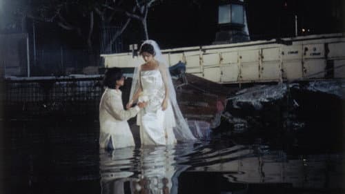 Woman of Breakwater still