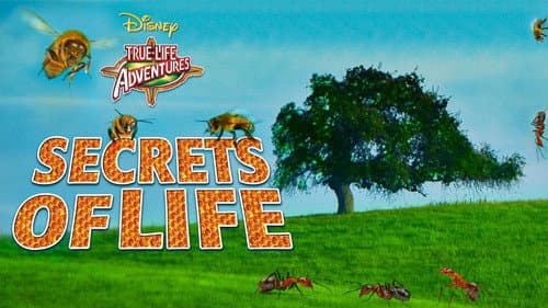 Secrets of Life still