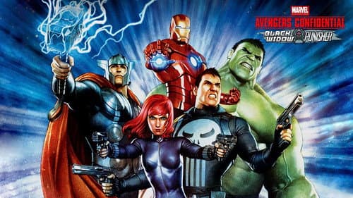 Avengers Confidential: Black Widow & Punisher still