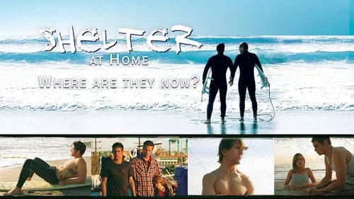 Shelter at Home: Where Are They Now? still