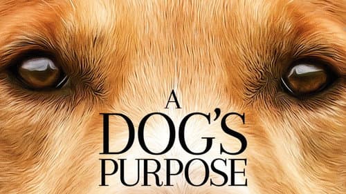 A Dog's Purpose still