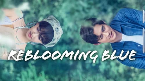 Reblooming Blue still
