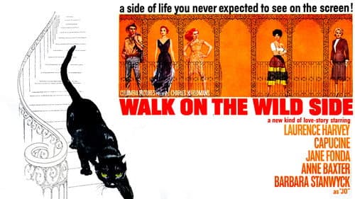 Walk on the Wild Side still