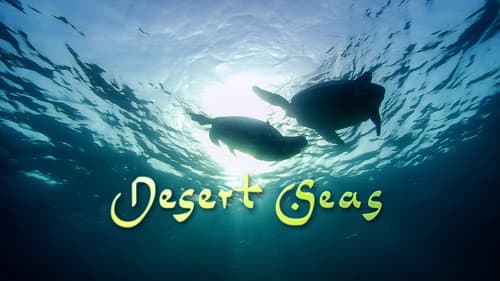 Desert Seas still