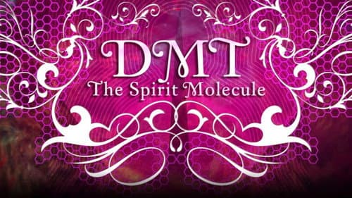 DMT: The Spirit Molecule still
