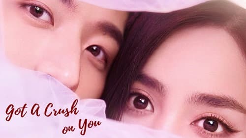Got a Crush on You still