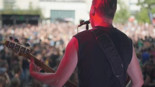 DIY: The Rise and Fall and Rise of Punk still